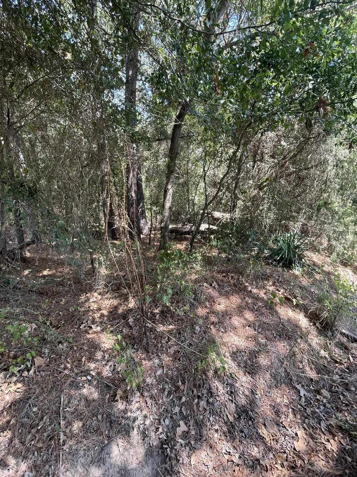 Property Photo: Tbd Locust Road TX 75645