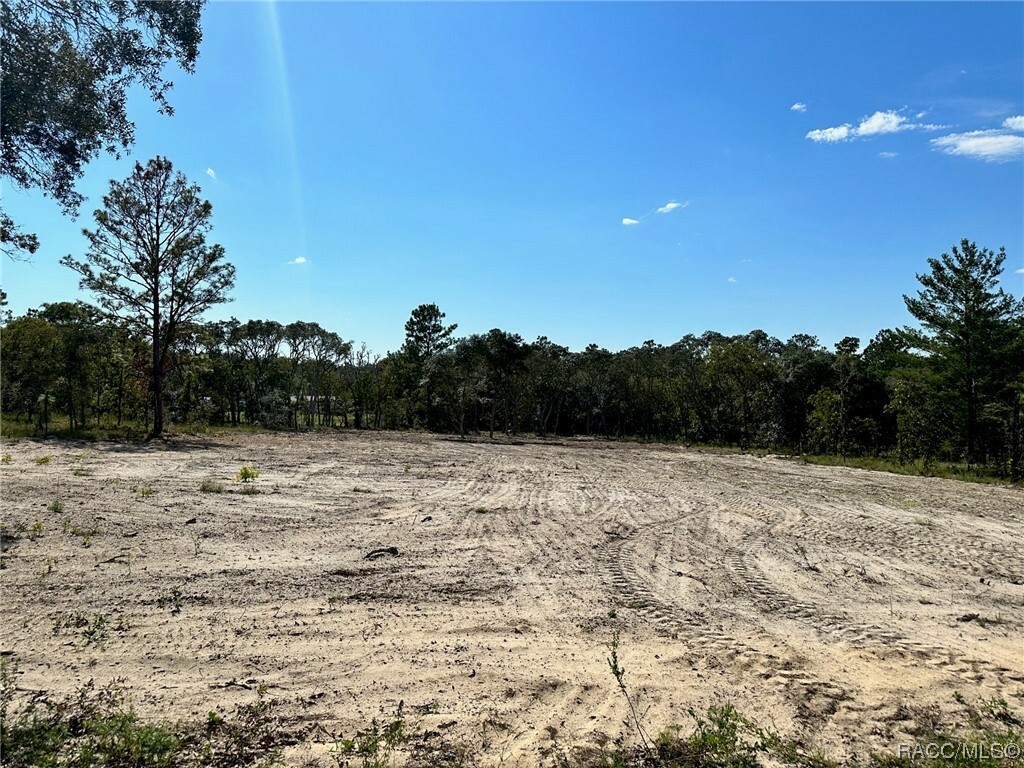 Property Photo:  Lot 16 SW Persimmon Lane  FL 34431 