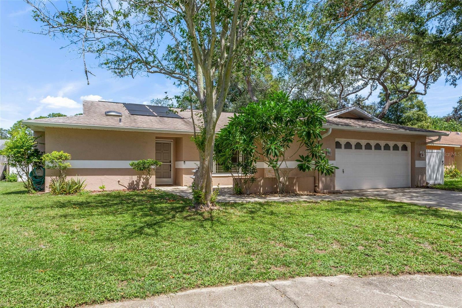 Property Photo: 55 Harbor Oaks Circle FL 34695