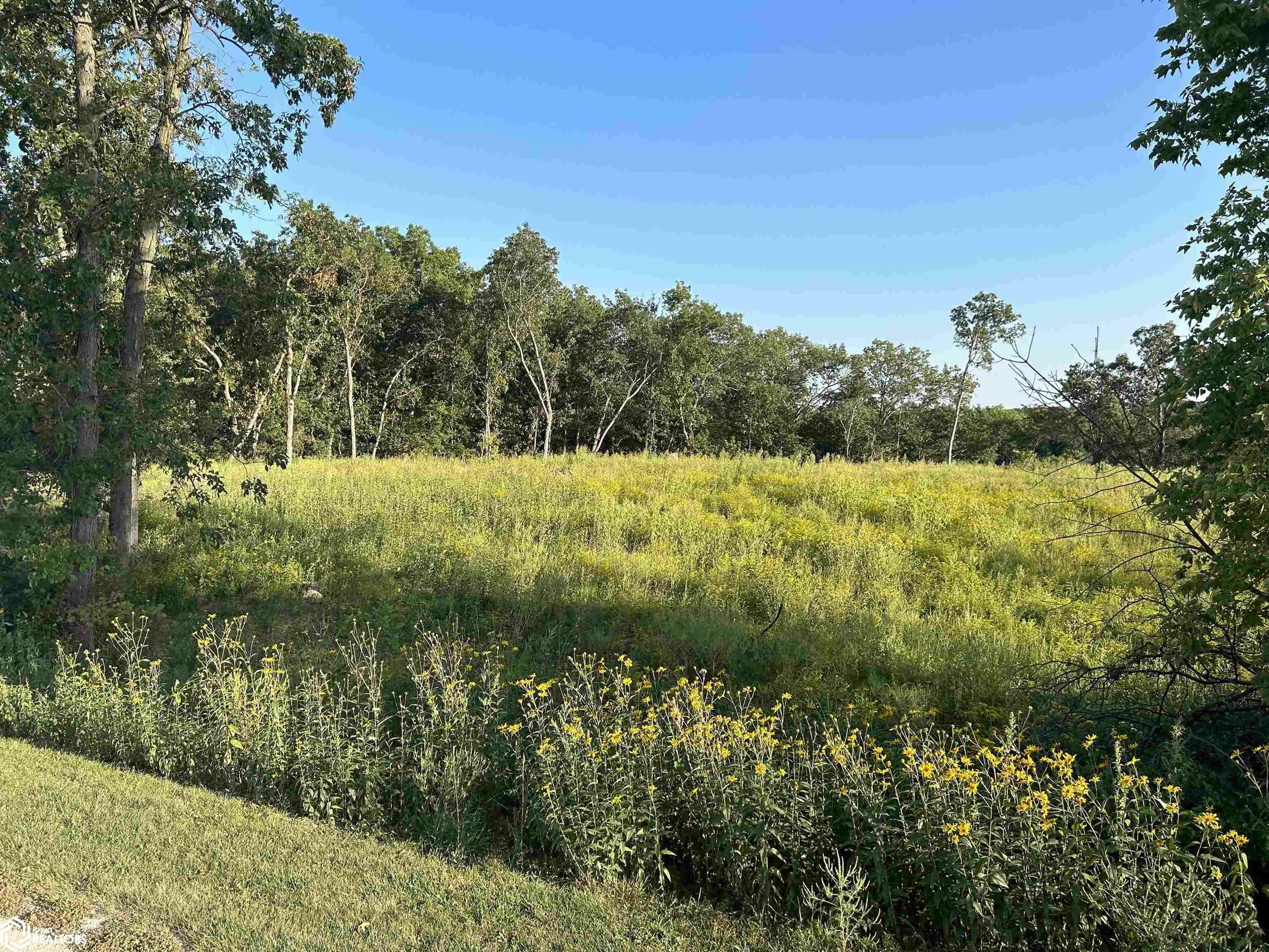 Property Photo:  Lot 4 Creek View Drive  IA 52641 