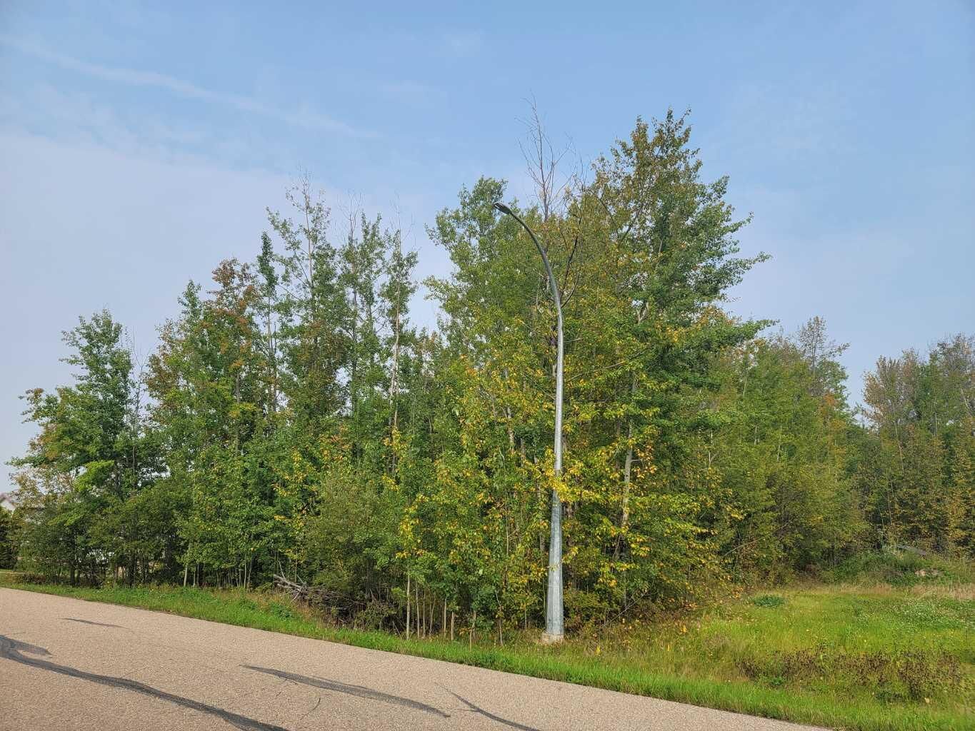 Property Photo: 5404 Spruce Avenue AB T0A 3M0