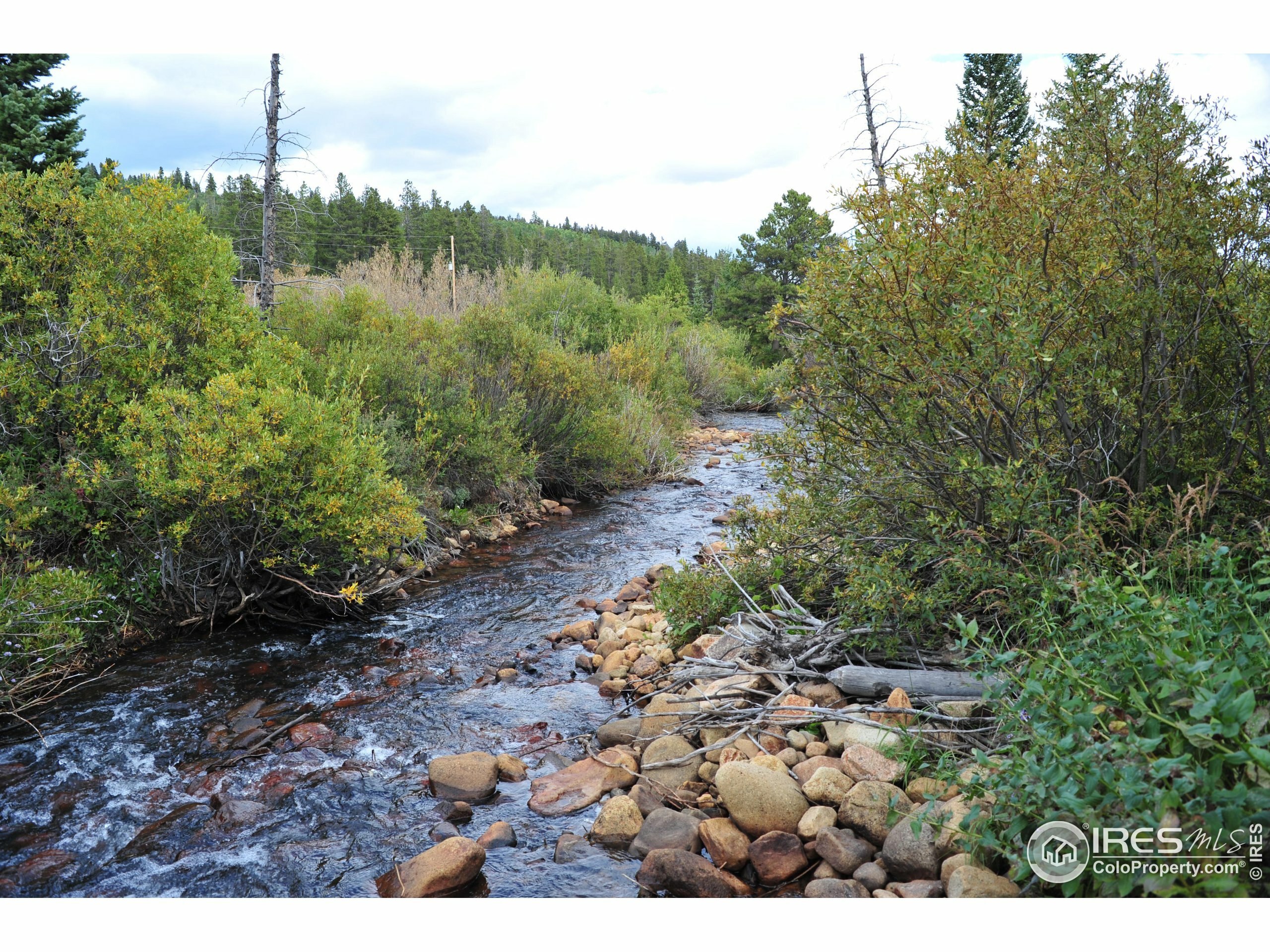 Property Photo: 85 Gold Pan Ln CO 80440