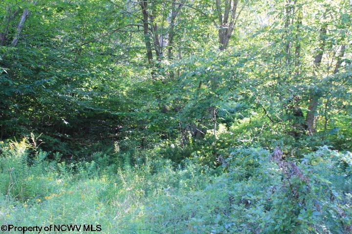 Property Photo:  Tract 34 Rocky Road Horsecamp Run Tory Mtn Sub  WV 26270 