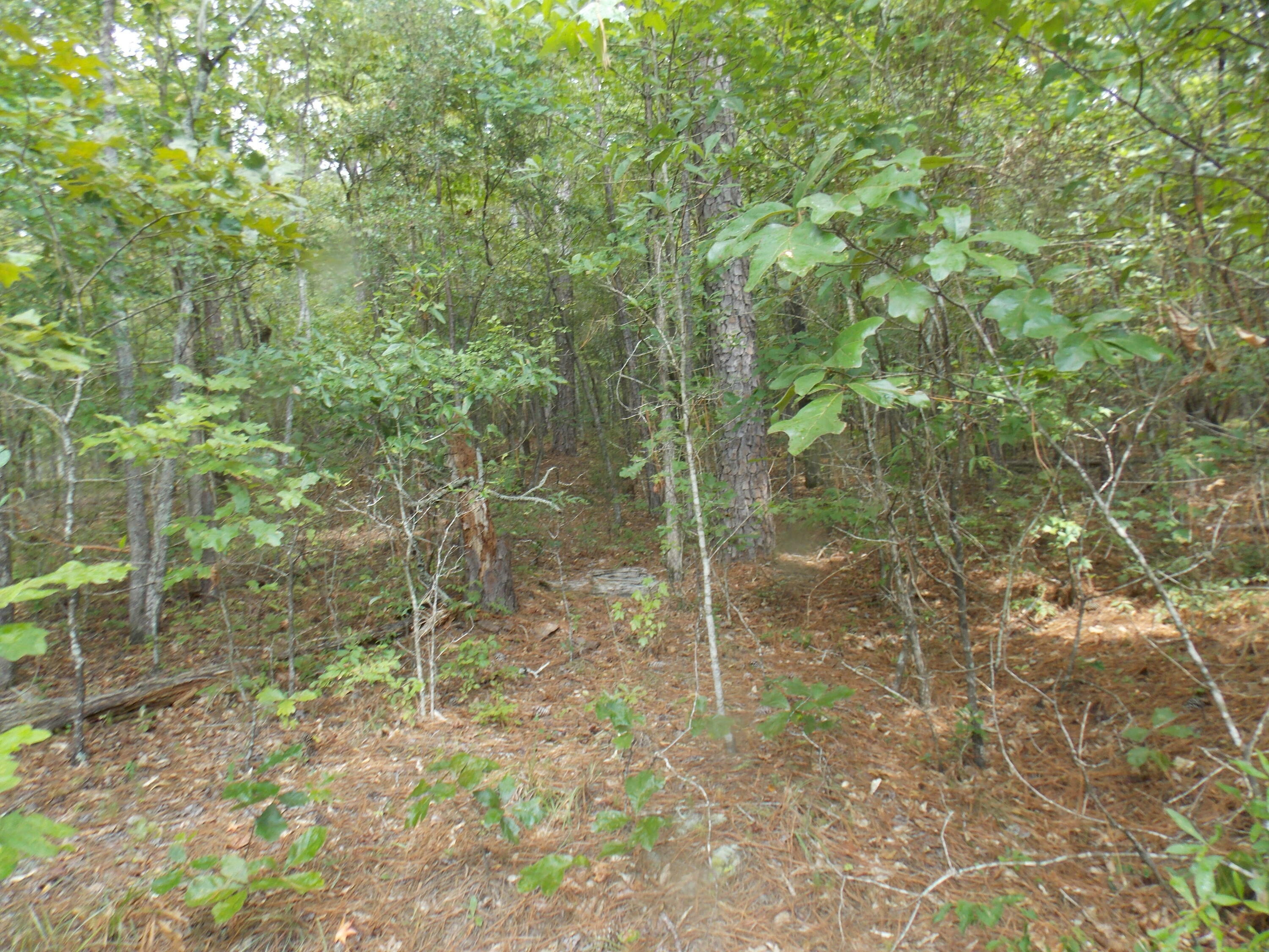 Property Photo:  60 Lbk Circle  GA 30668 