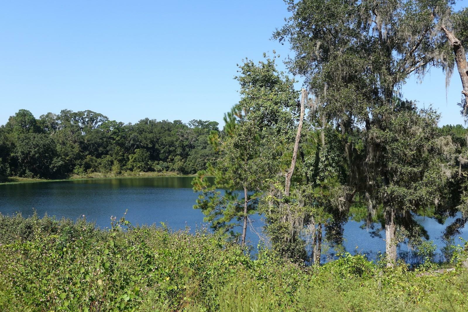 Property Photo:  Malauka Loop  FL 32179 