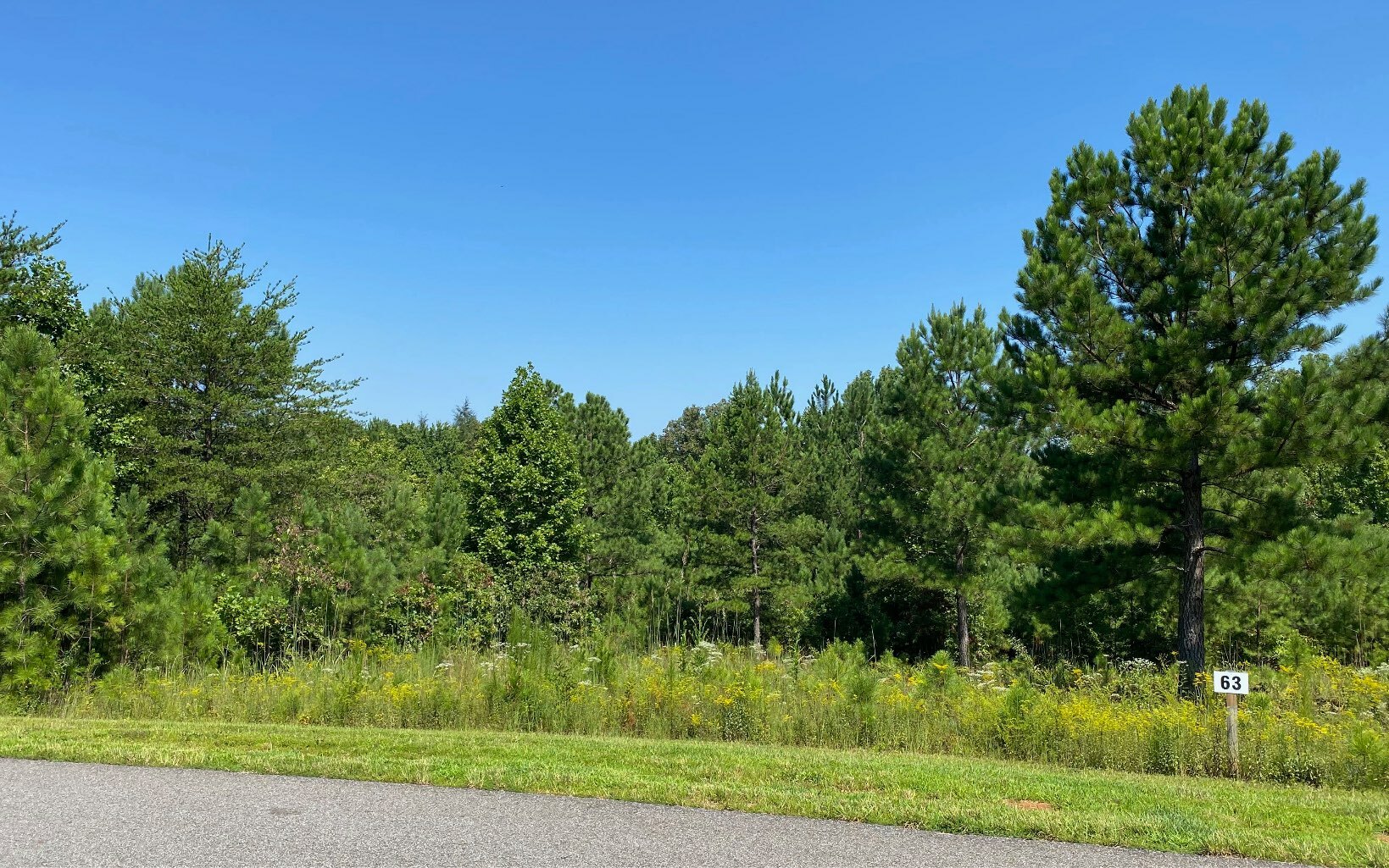 Property Photo:  Lot63 Northshore Drive  GA 30512 