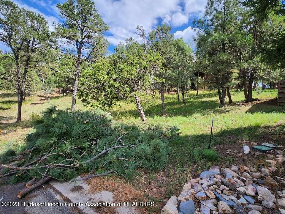 Property Photo:  203 Marble Drive  NM 88345 