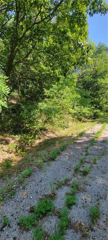 Property Photo: 35 Chickasaw Lane AR 72631