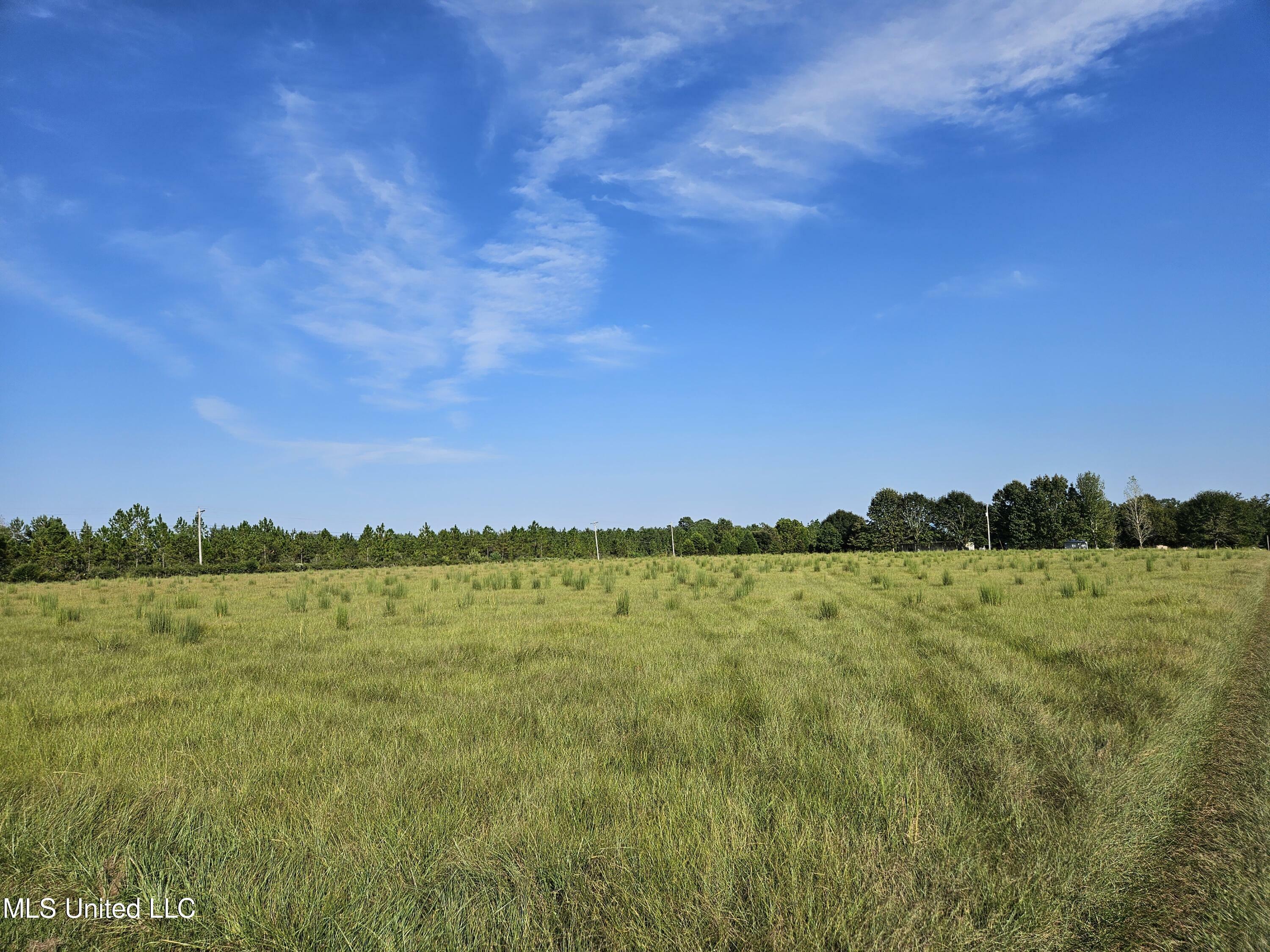 Property Photo:  3 Acres John Clark Road  MS 39503 