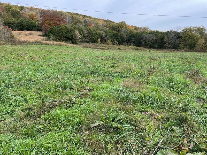 Property Photo:  601 Highway 1003  KY 42501 