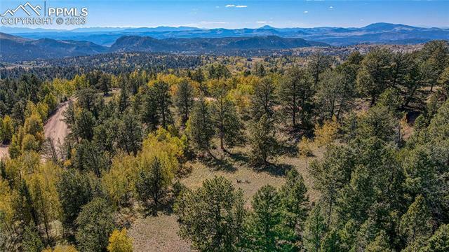 Property Photo: 864 Wellington Drive CO 80813