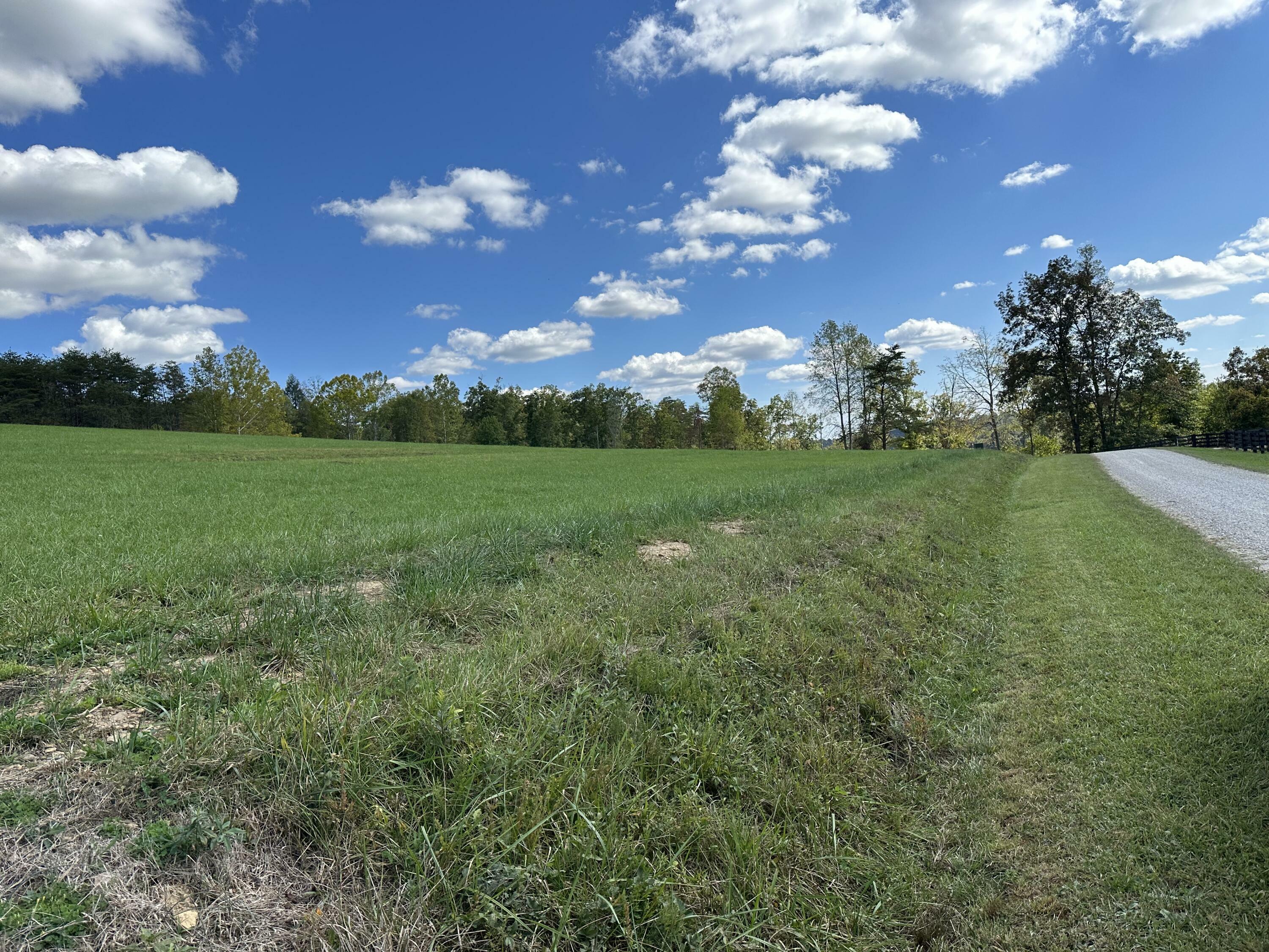 Property Photo:  Lot 3 Baldwin Road  KY 40447 