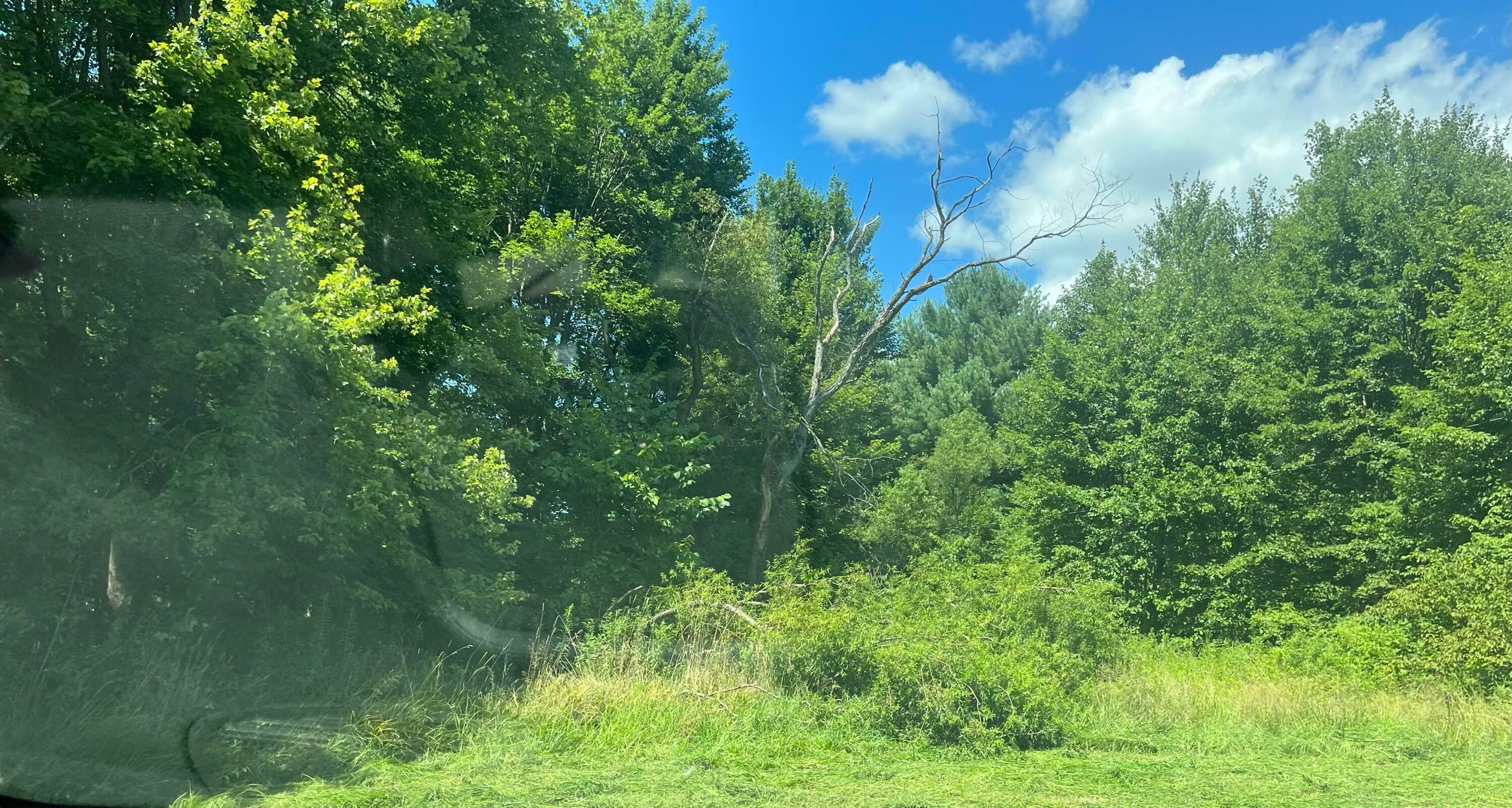 Property Photo: 0 County Road 5 OH 43764