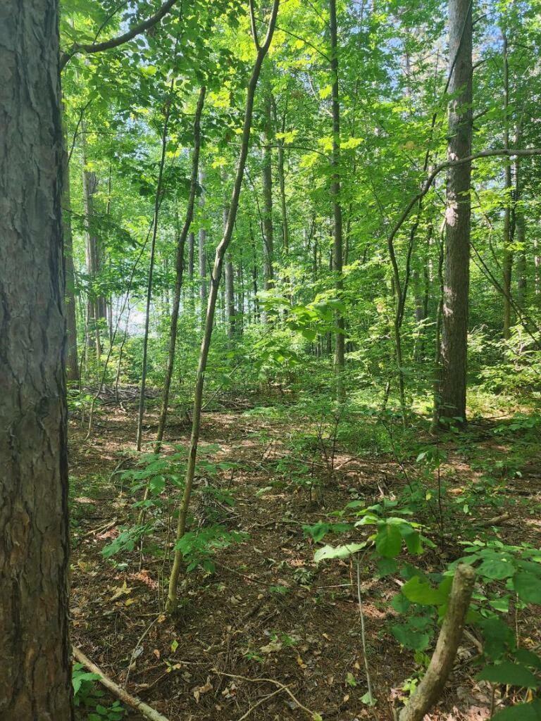 Property Photo:  Lot 3 & 4 Ranch Road  WI 54471 