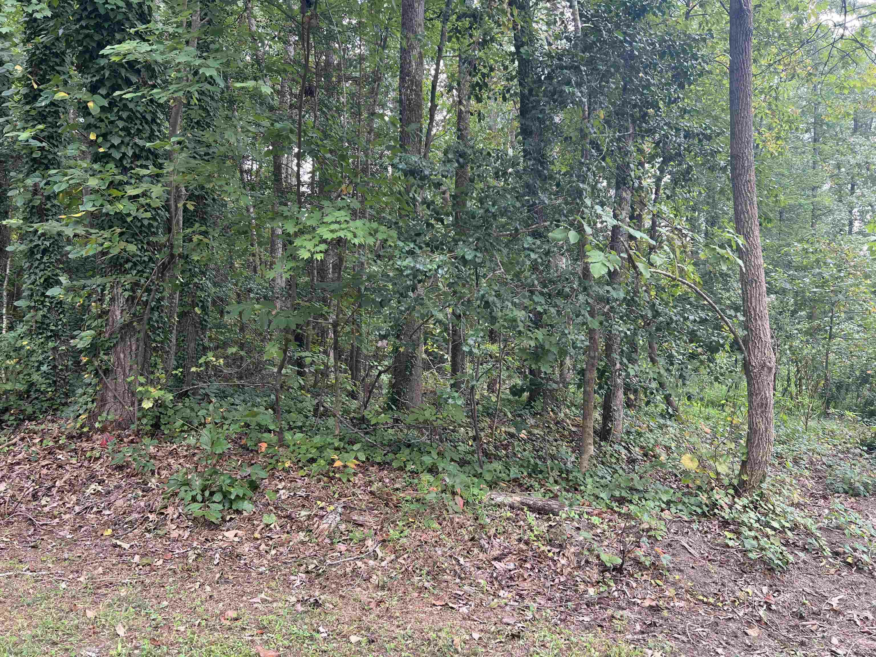 Property Photo:  7057 Oak Road  NC 27332 