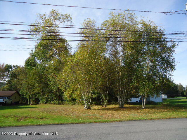 Von Bergen Street  Old Forge PA 18518 photo