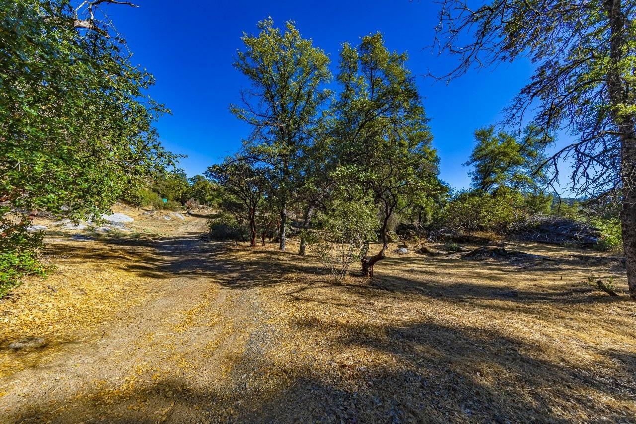 Property Photo:  4200 Silver Lane Road  CA 95338 