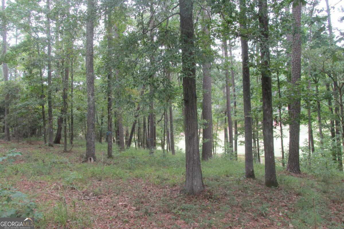 Property Photo:  1071 Big Water Circle  GA 30642 