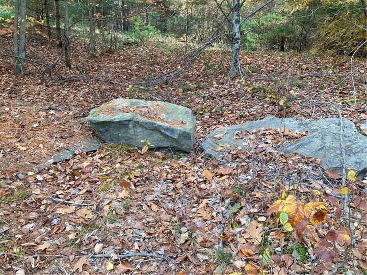 Property Photo:  140 Plank Road  NY 12762