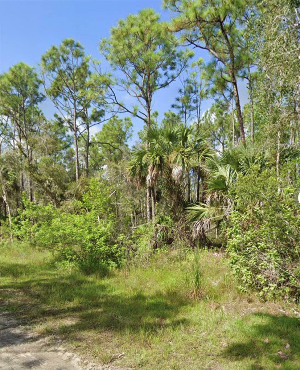 Property Photo:  12457 Caravan Drive  FL 33955 