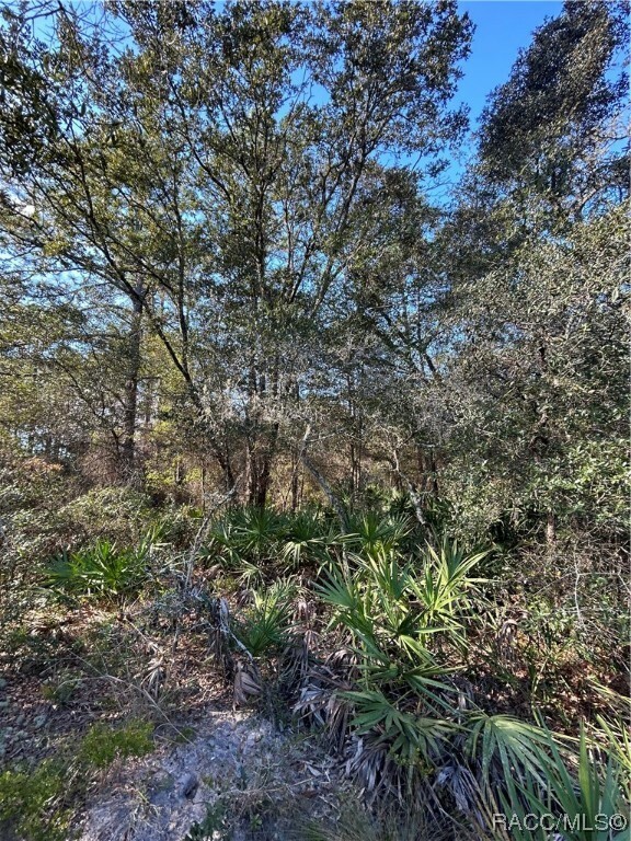 Property Photo:  11752 W Acacia Drive  FL 34428 