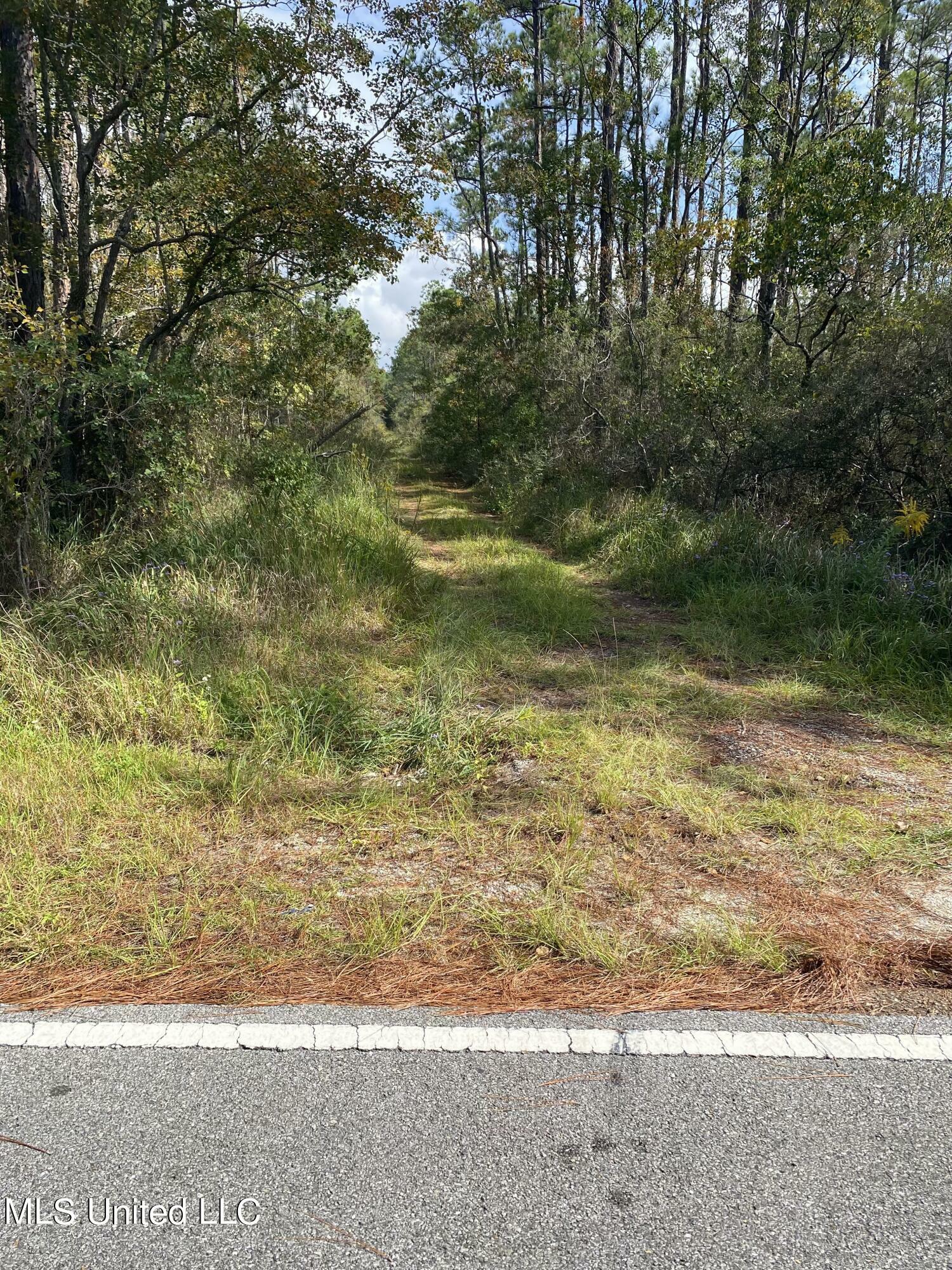 Property Photo:  4600 Orange Grove Road  MS 39562 