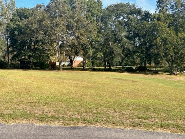Property Photo:  12553 Bell Creek Drive N  AL 36541 