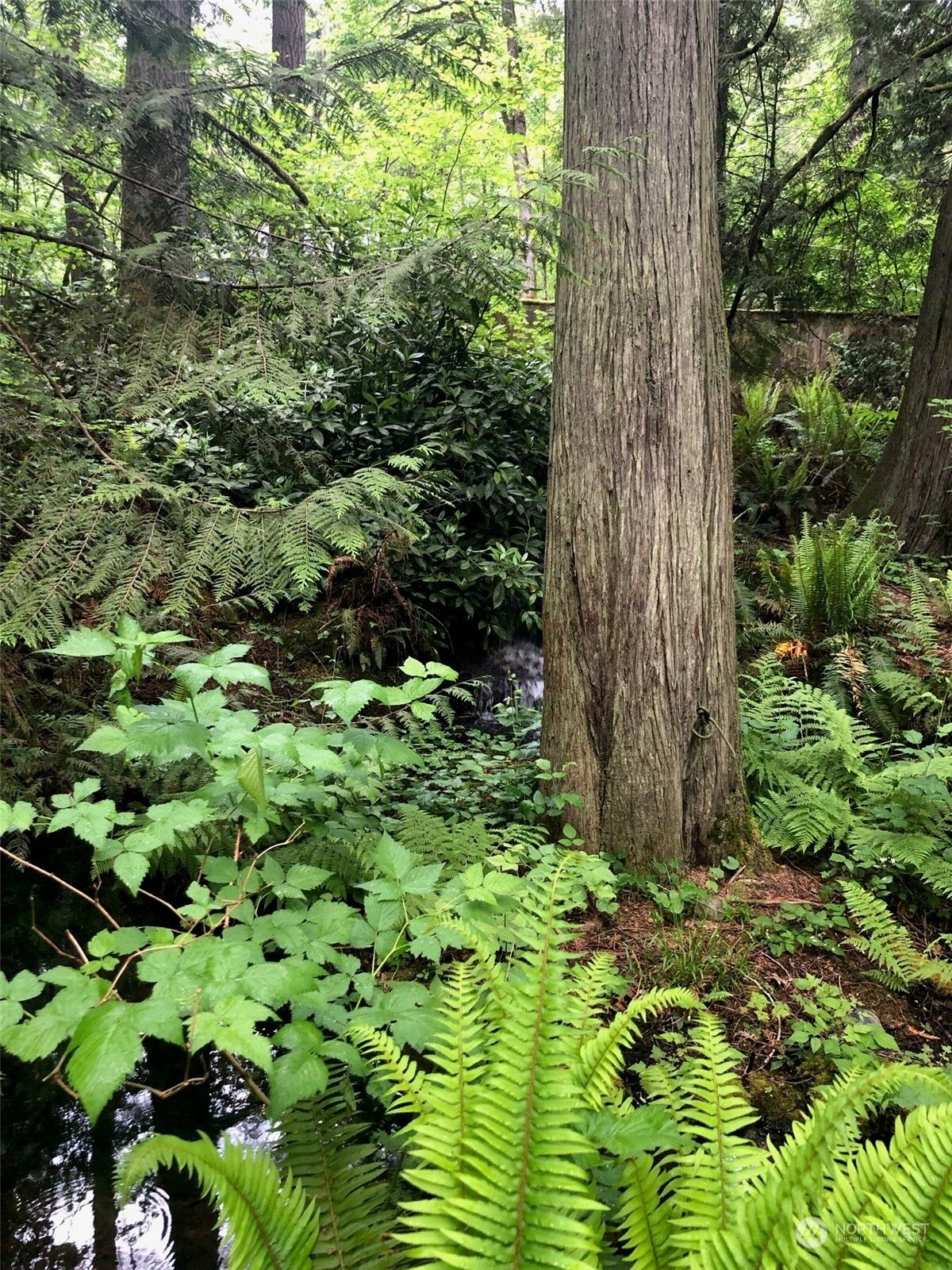 Property Photo: 0 Quail Trail WA 98239