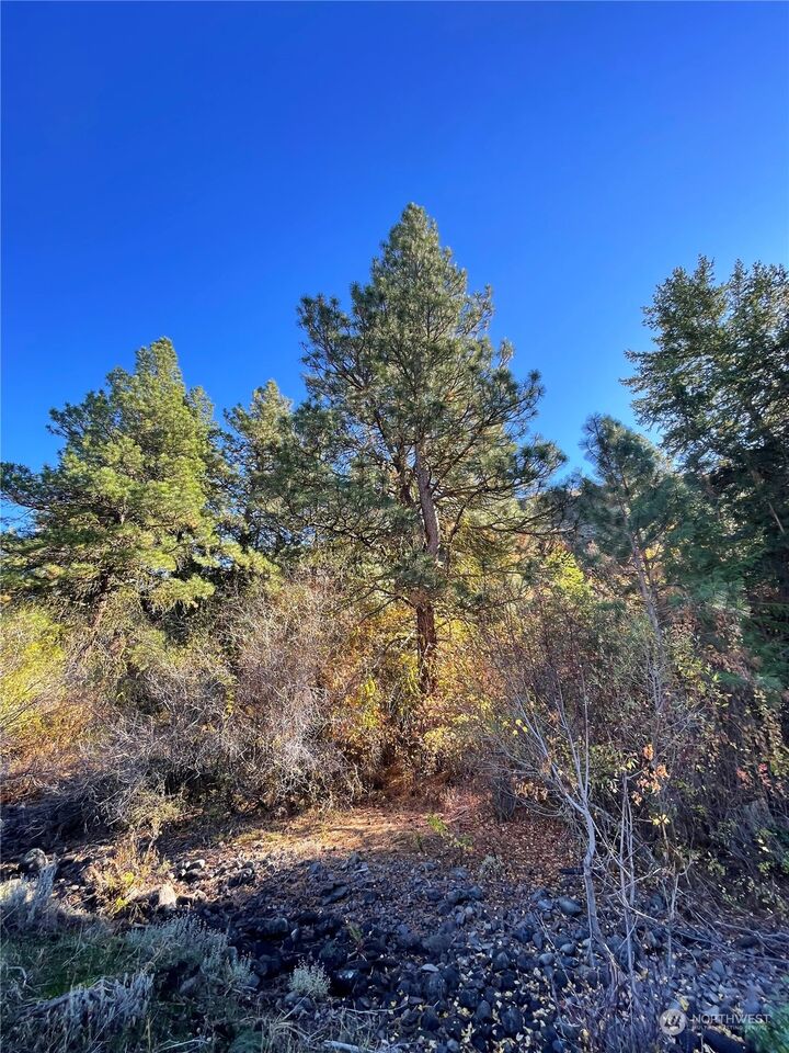 3 bed Ellensburg home for sale 6750 Secret Canyon Road, Ellensburg, WA