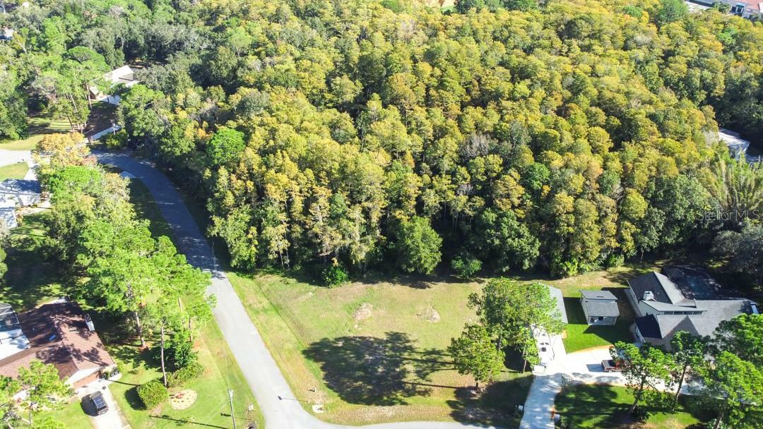 Property Photo: 0 Morningsun Court FL 34655