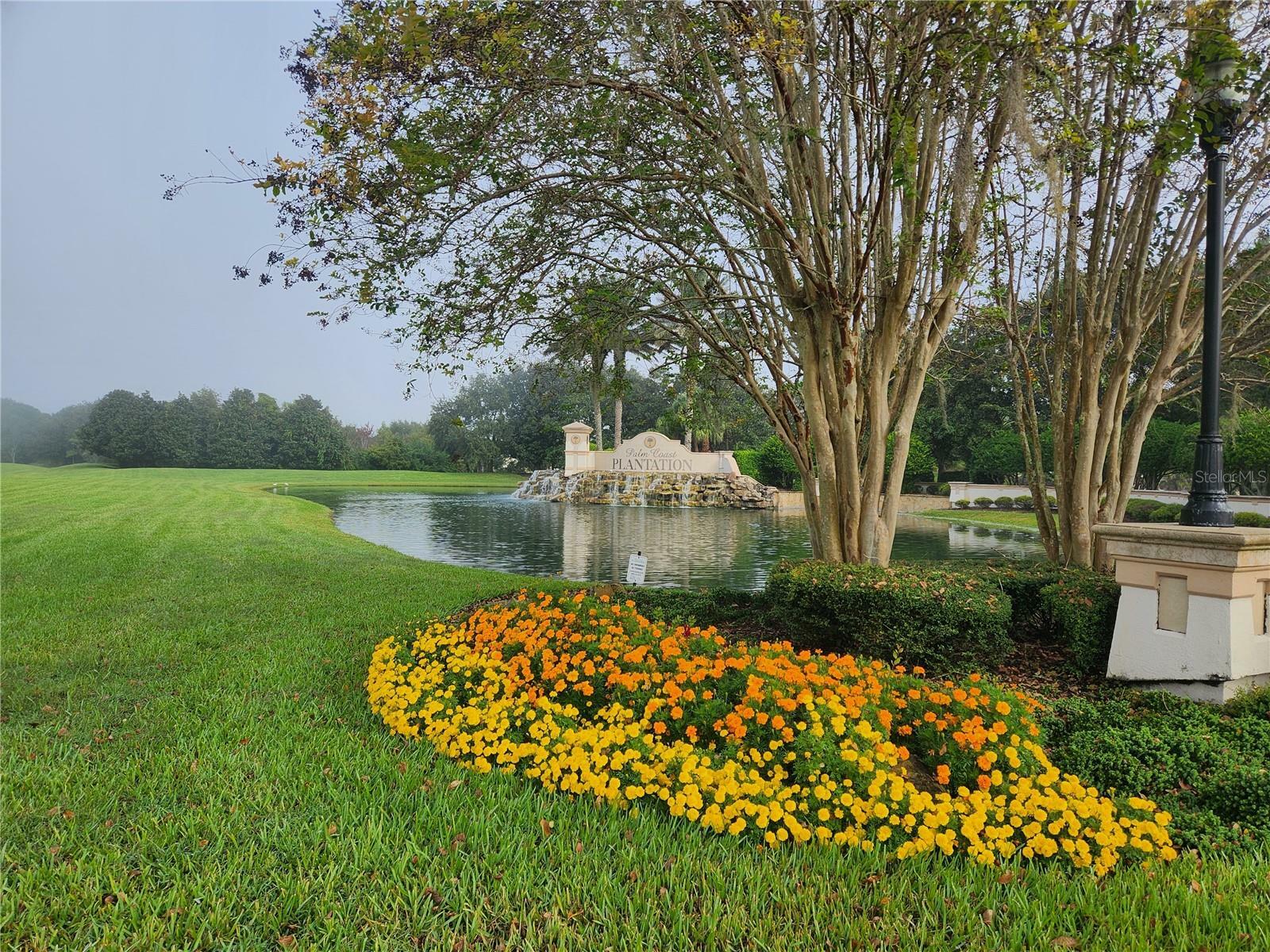 Property Photo:  165 Heron Drive  FL 32137 