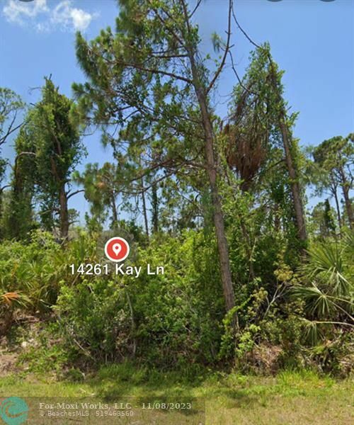 Property Photo:  14261 Kay Lane  FL 33981 