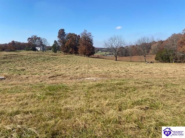 Property Photo: 3157 Lot 3 Brandenburg Road KY 42754