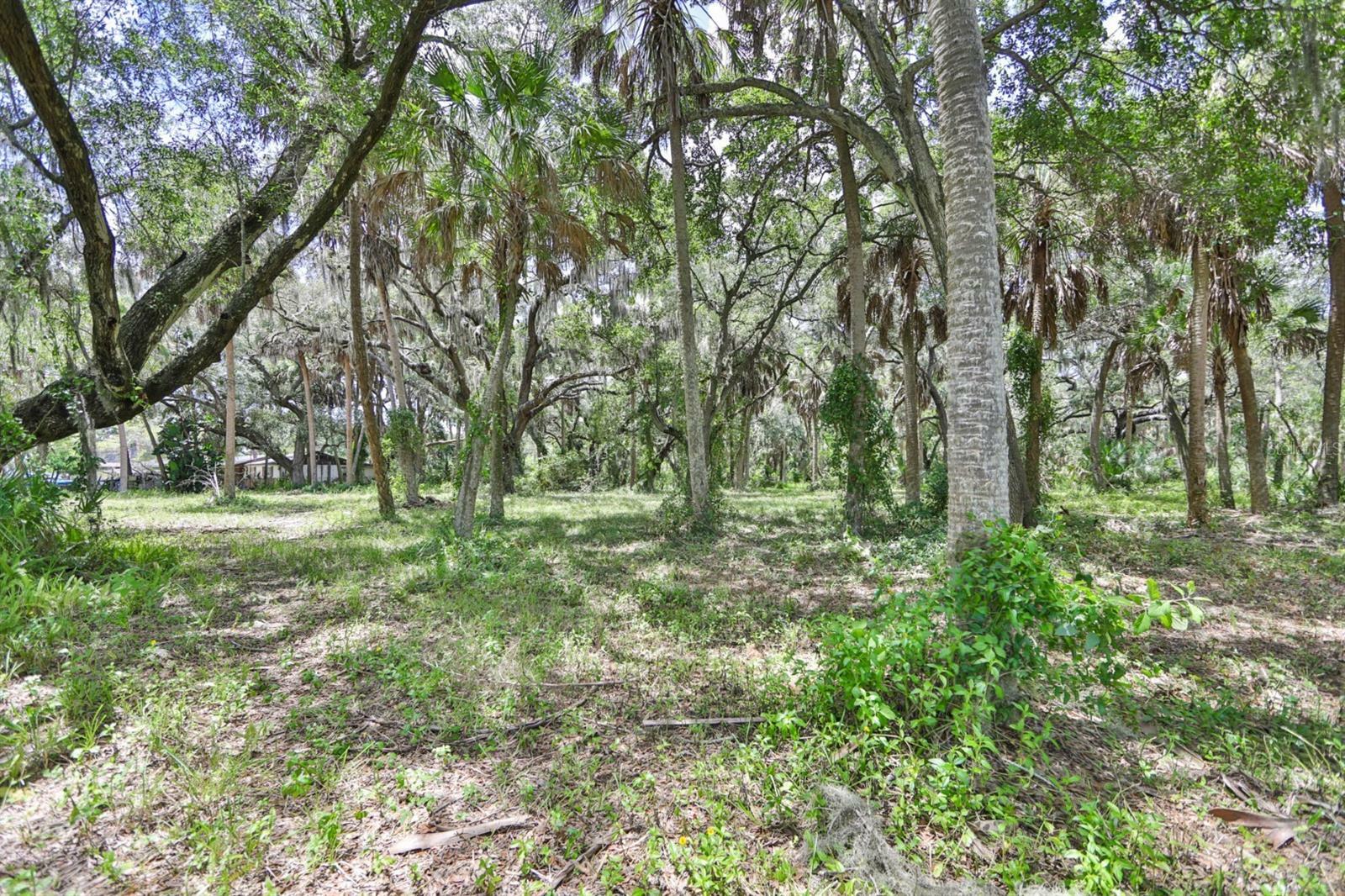 Property Photo: 9511 River Cove Drive FL 33578