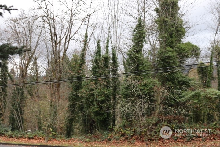 Property Photo:  620 Wildwood Boulevard SW  WA 98027 