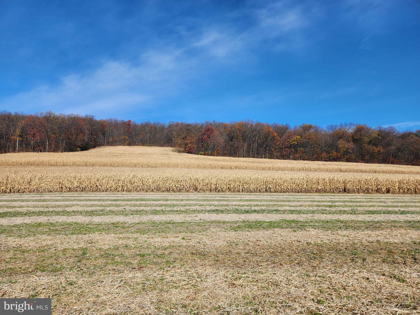 Property Photo:  Lot #430 Gun Club Road  PA 17830 