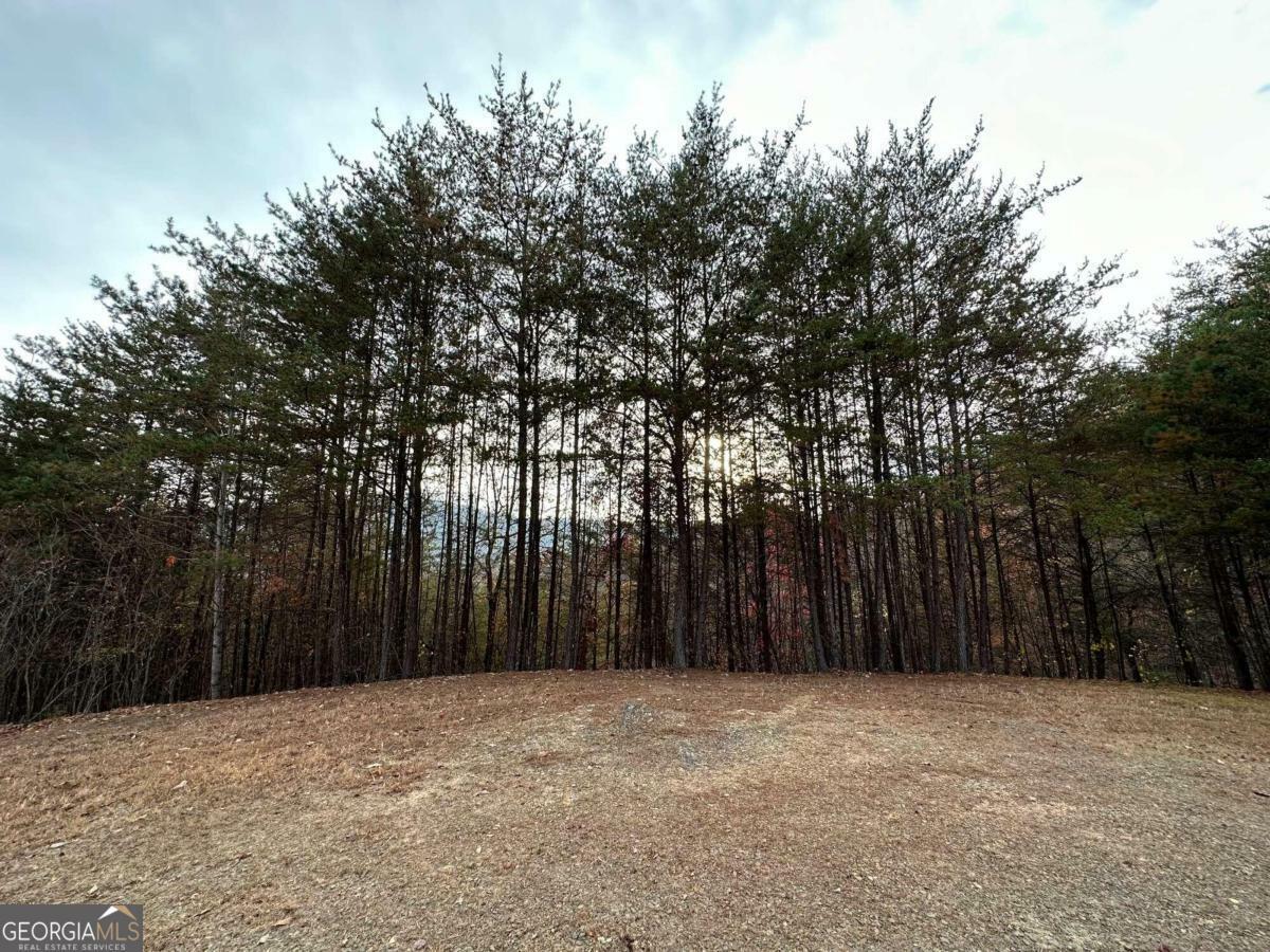 Property Photo: Lt 81 Wildcat Drive NC 28906