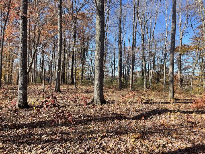 Property Photo: Lot 88 Stillwater KY 42642