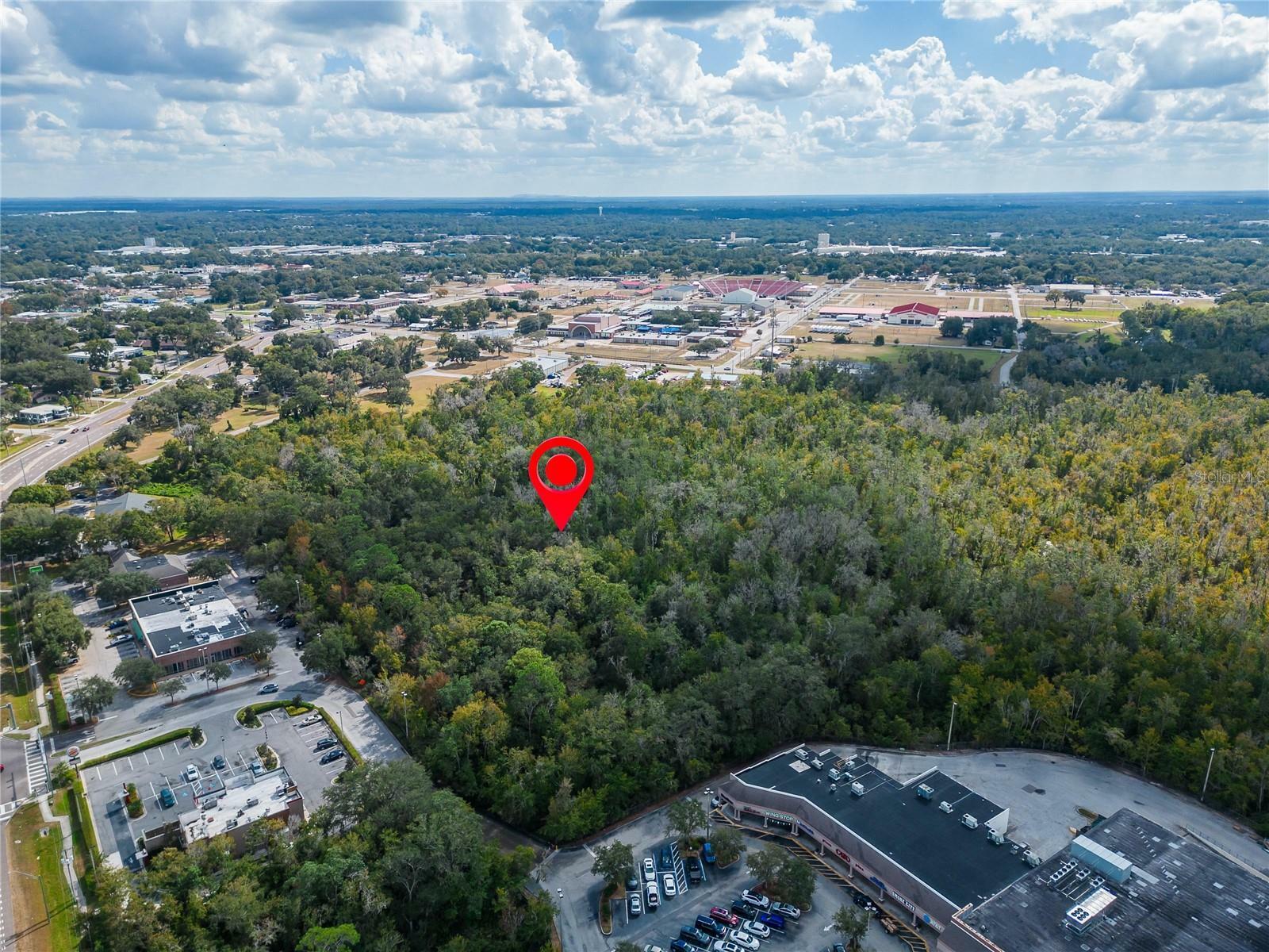 Property Photo:  0 Thonotosassa Road  FL 33563 