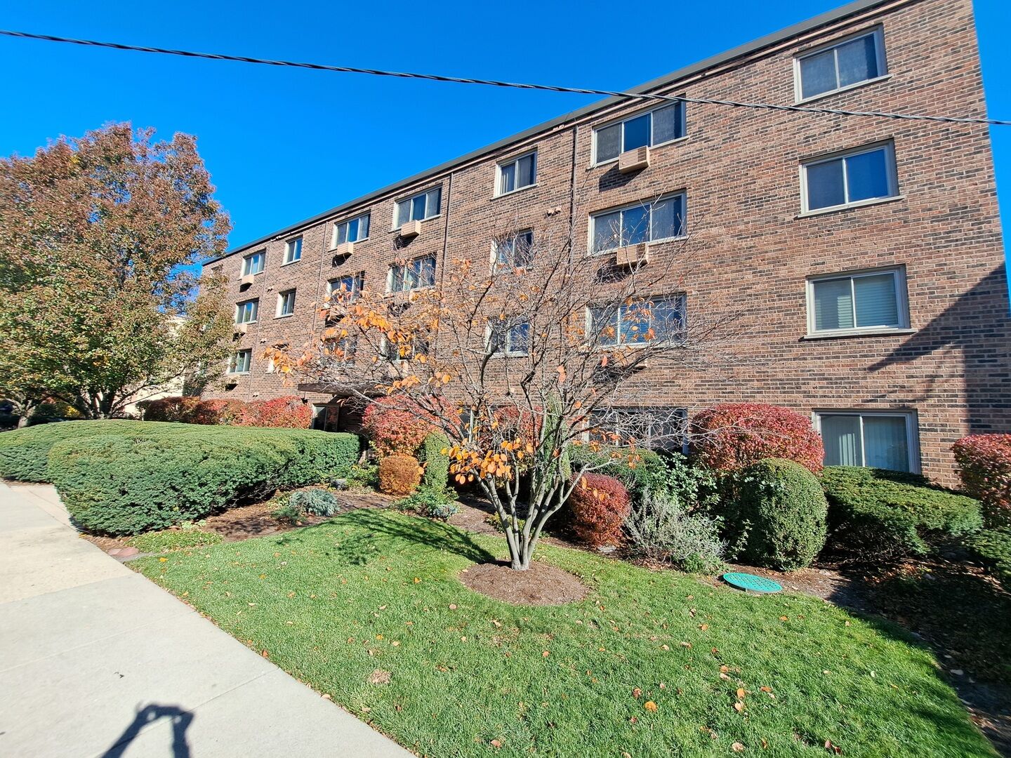 Property Photo: 477 Graceland Avenue 4B IL 60016
