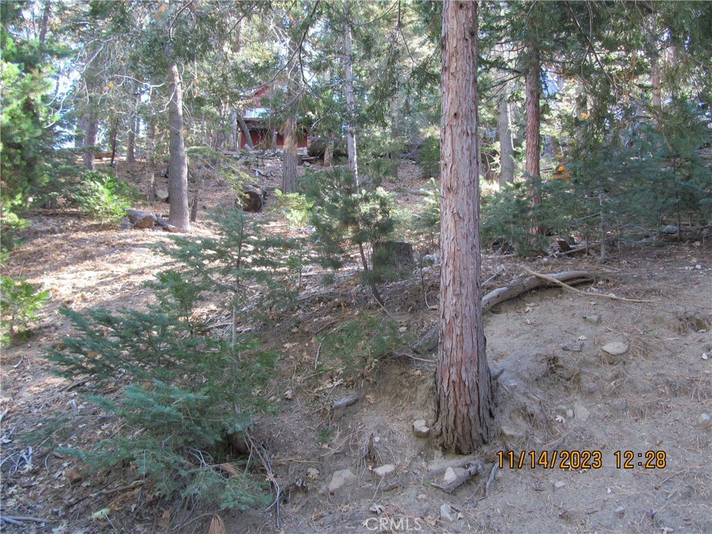 Property Photo:  0 Rose Lane  CA 92391 