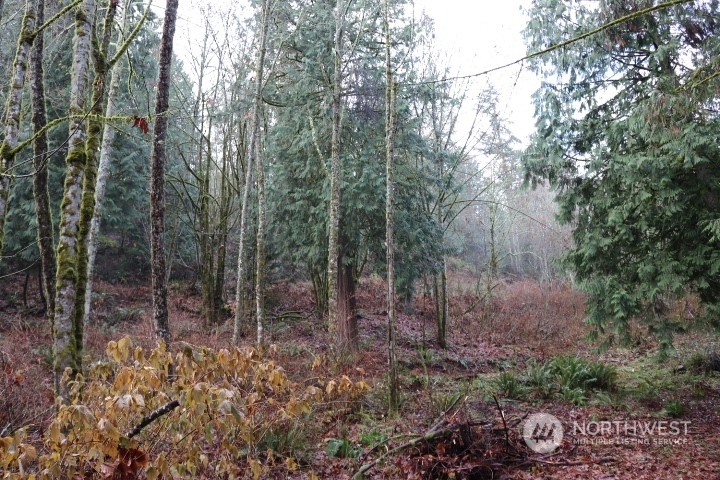 Property Photo:  18700 SE 64th Way  WA 98027 