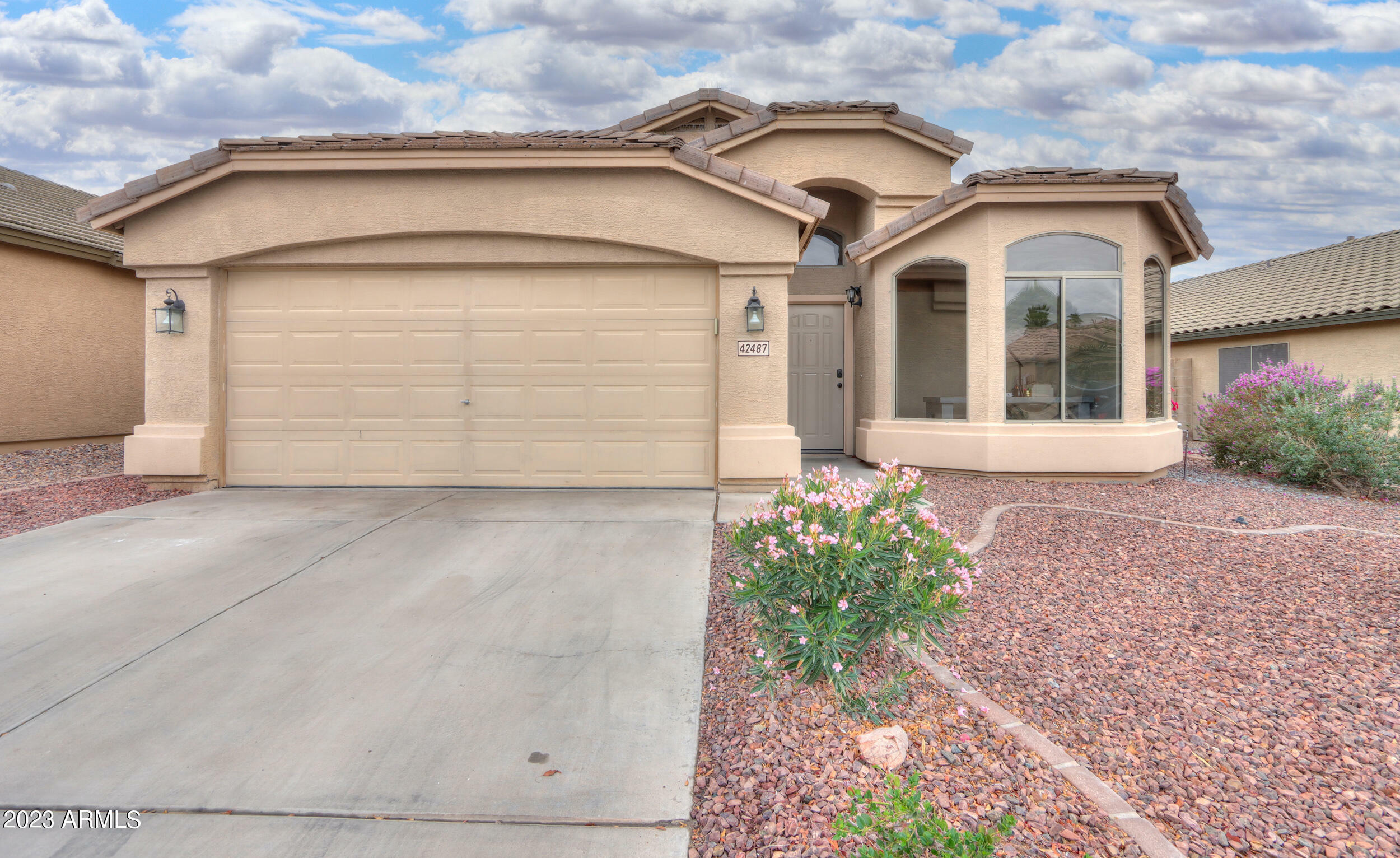 Property Photo:  42487 W Hall Drive  AZ 85138 