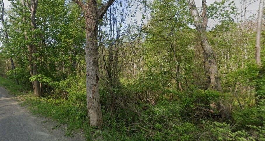 Property Photo:  49A Willis Road  NY 13905 