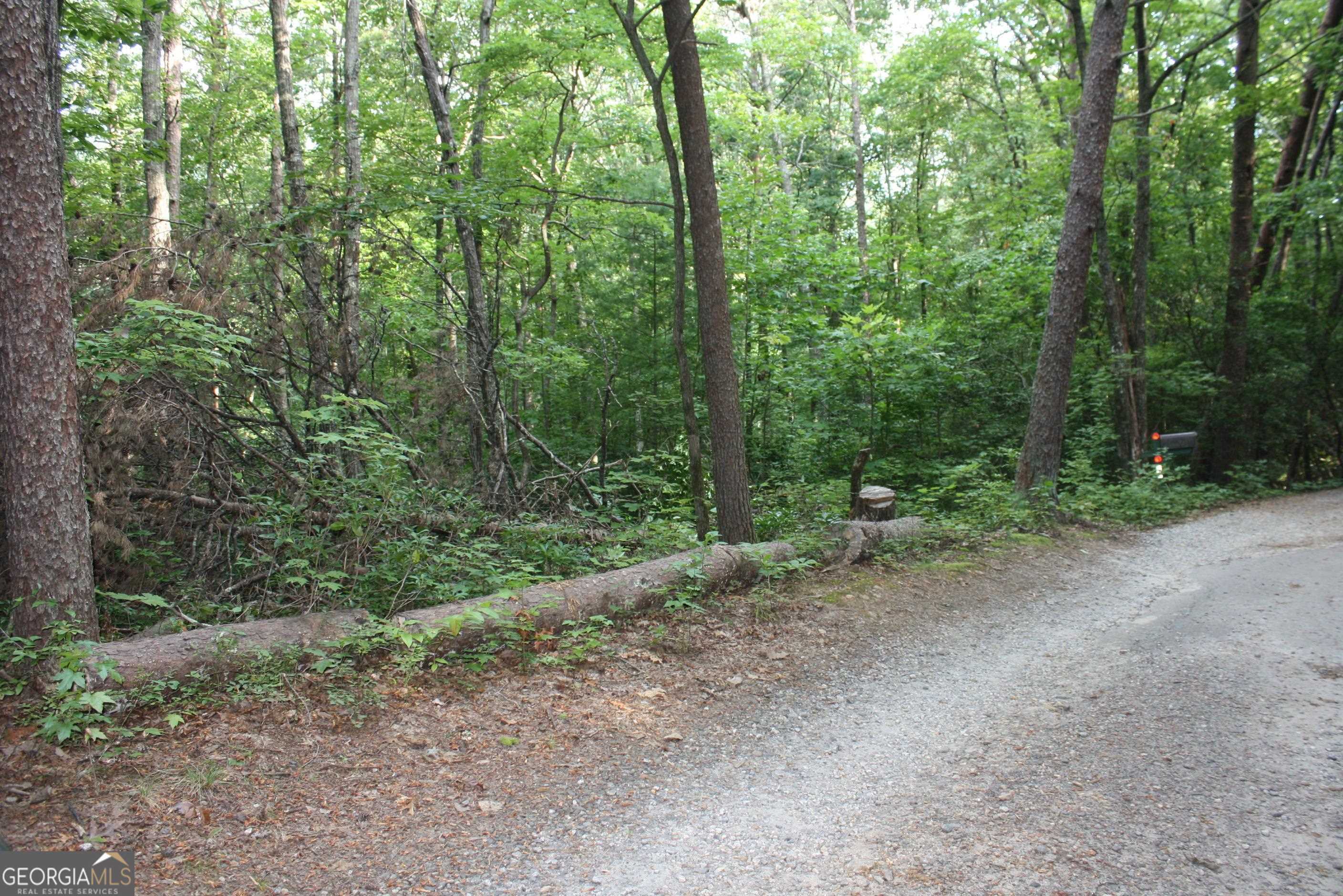 Property Photo:  0 Rose Lot # 20  GA 30528 