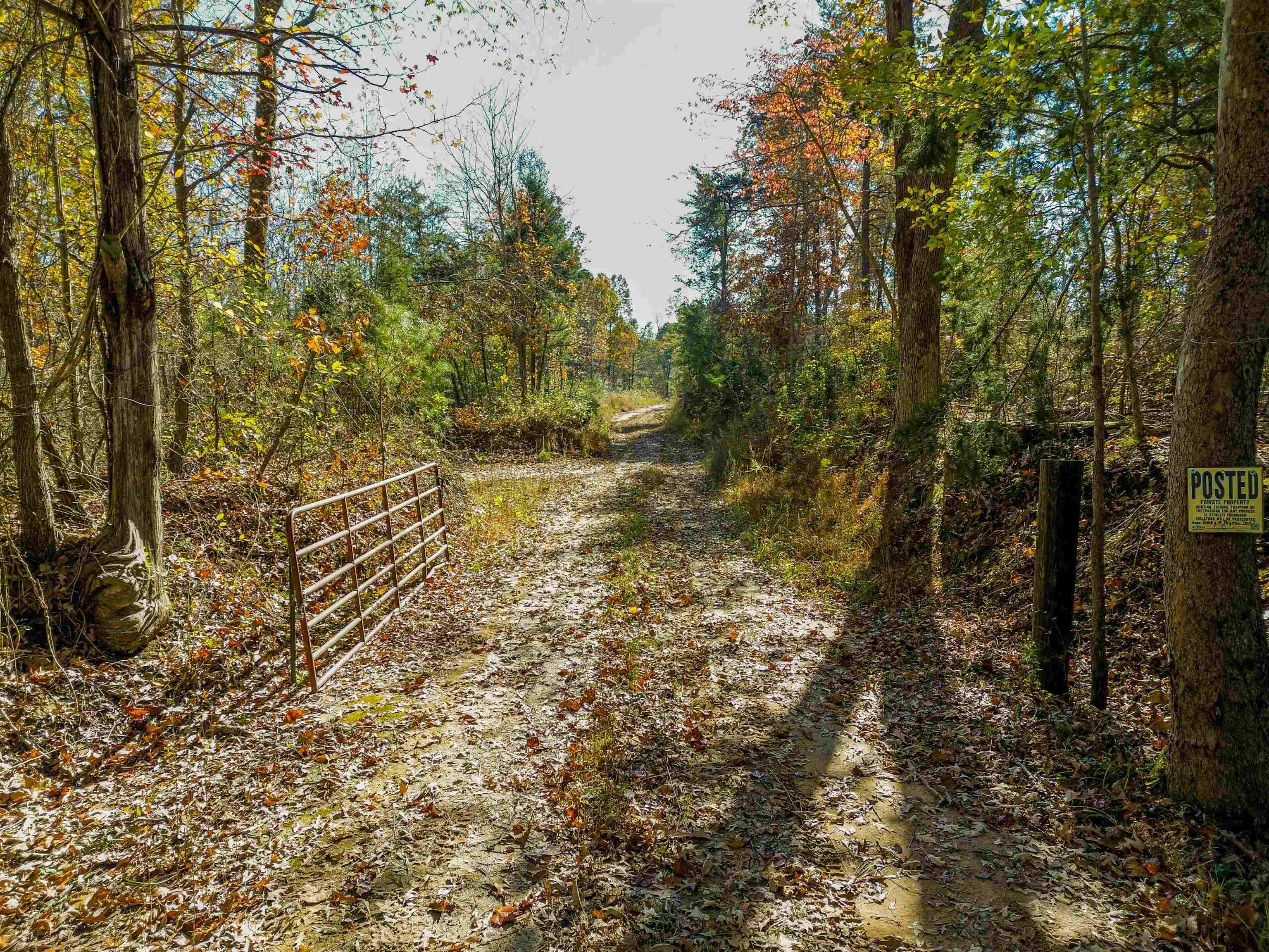Property Photo:  00 Campbell Road  KY 42431 