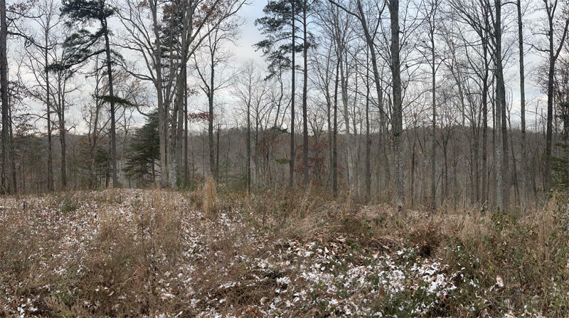 Property Photo:  Lot 7 Sandstone Point  KY 42633 