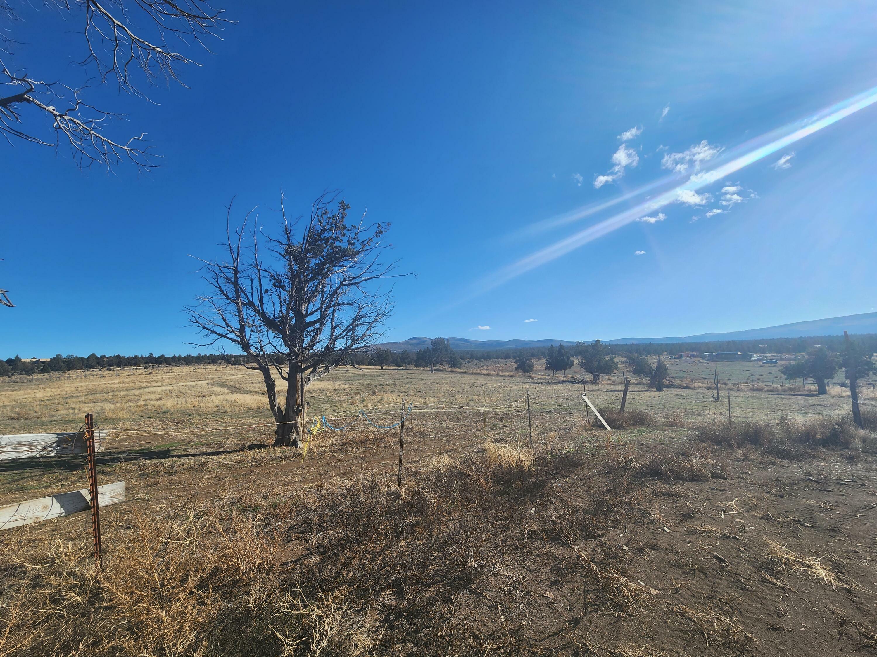 Property Photo:  1910 Eucalyptus Lane  OR 97754 