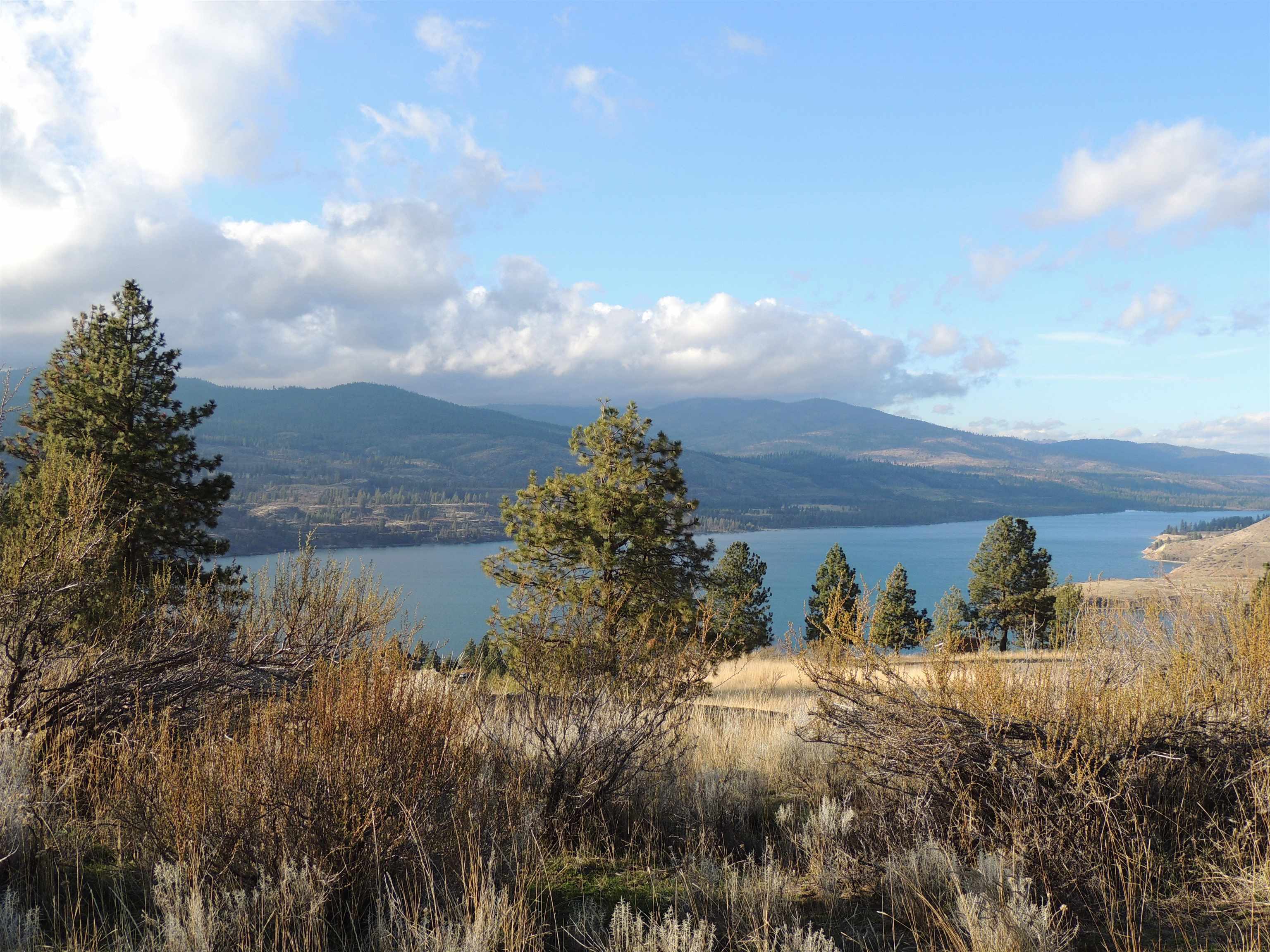 Property Photo: 42770 Deer Heights Dr. N WA 99122