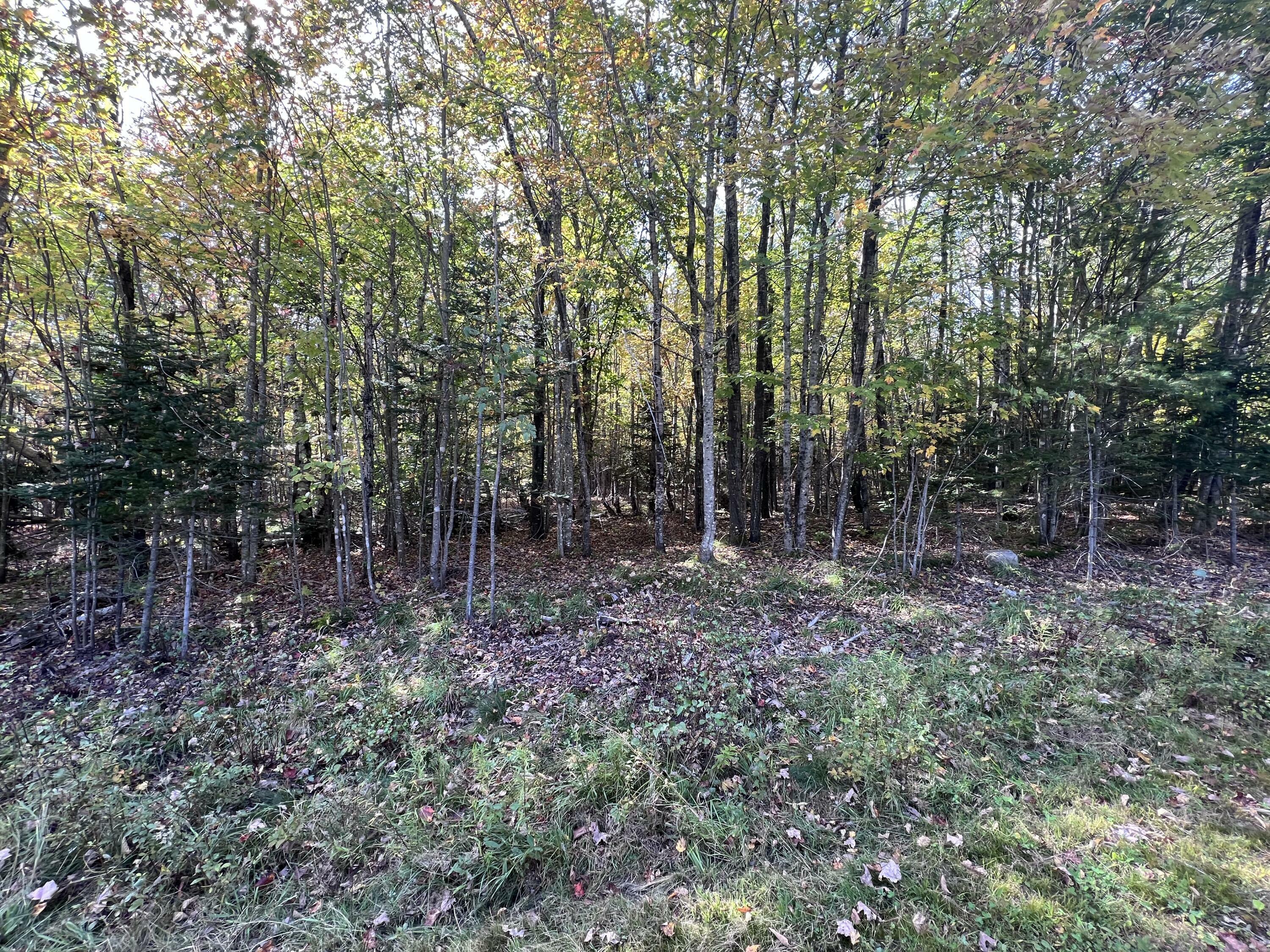 Property Photo:  Lot 21 Grand View Road  ME 04971 